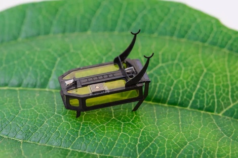 RoBeetle, el mini robot que se mueve por metanol