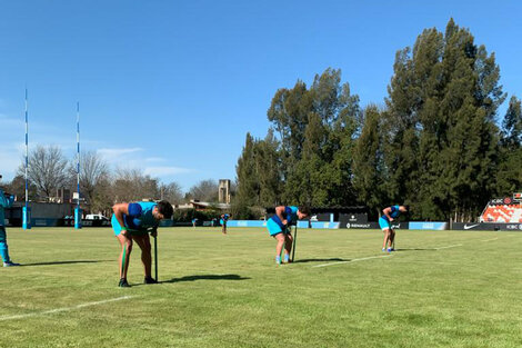 Cinco casos positivos dejó el balance de los primeros 12 días de entrenamientos de Los Pumas. 