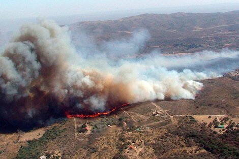 El 95 por ciento de los incendios forestales en el país se desataron por la acción humana