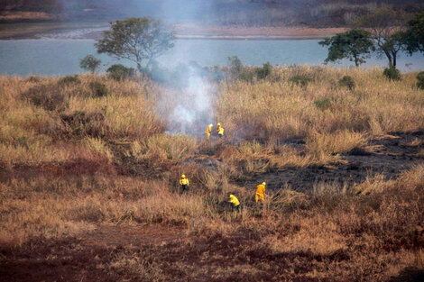 Qué hay detrás de los incendios