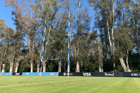 Los Pumas vuelven a los entrenamientos tras los casos de coronavirus