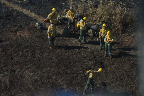 Se apagaron los focos de incendio en el Delta del Paraná