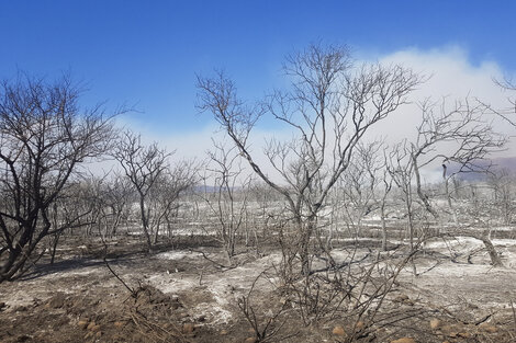 Incendios en Córdoba: Paisaje después de los fuegos