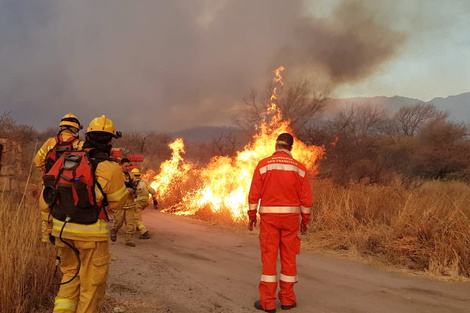 Incendios: Un solo foco activo en Tucumán y las islas del delta se mantienen en "guardia de cenizas"