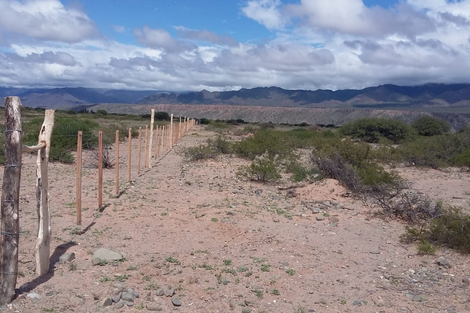 Diaguitas denuncian avances en sus tierras durante la pandemia 