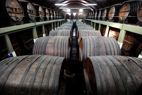 En cuarentena, el vino le gana a la cerveza