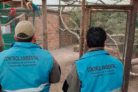 Concretaron la clausura del Zoo de Luján