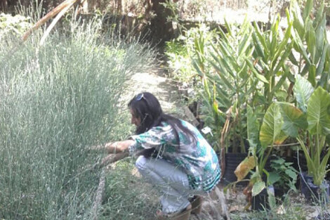 La intendenta vetó la huerta comunitaria en el Vivero Municipal