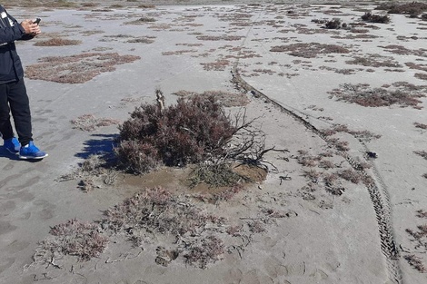 El lugar donde se encontró la mochila, a unos cuatro kilómetros de donde apareció el cuerpo.