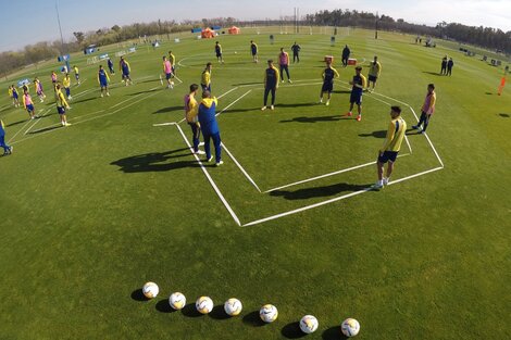 Boca viajó a Colombia sin Russo y con dos dudas en el equipo