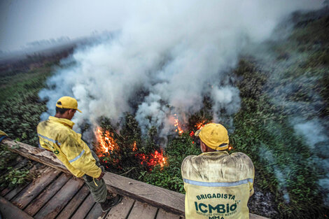 Brasil: El Pantanal sufre la mayor cantidad de incendios de su historia