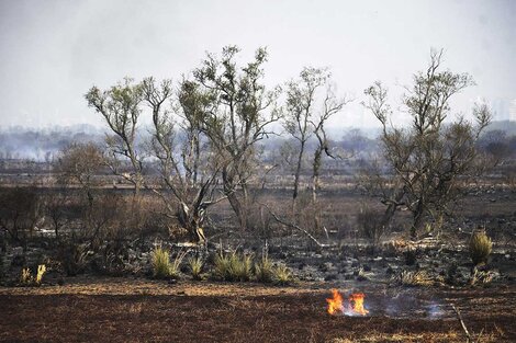 Las islas después del fuego.