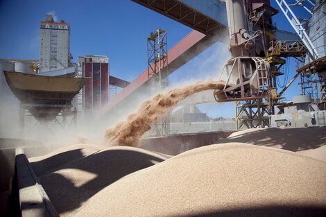 Las ventas de productores a exportadores de granos, un polo de interés