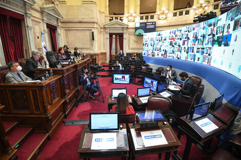 En el inicio del debate la Cámara alta aprobo un nuevo protocolo para las sesiones remotas. 