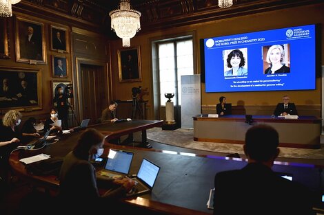 Premio Nobel de Química para dos mujeres genetistas