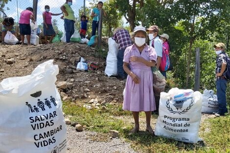 ¿Qué es el Programa Mundial de Alimentos de la ONU? 