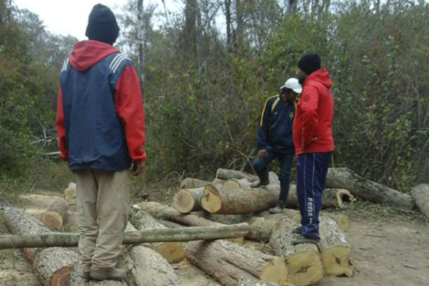 Denuncian un desmonte silencioso en territorios en disputa