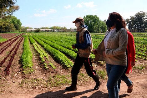 De tierras privadas ociosas a quintas para la producción de alimentos  