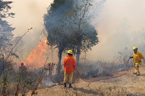 En el departamento de San Javier el fuego llegó a las zonas pobladas.