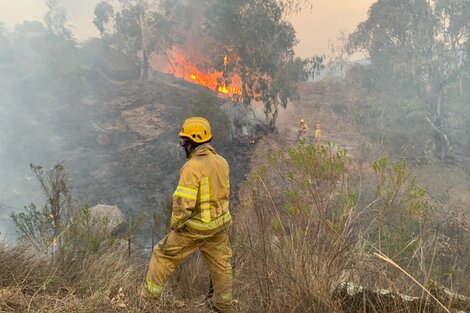 Gorgojo Otamendi en una jornada de trabajo en el sur de Córdoba, cerca de Río Cuarto. 