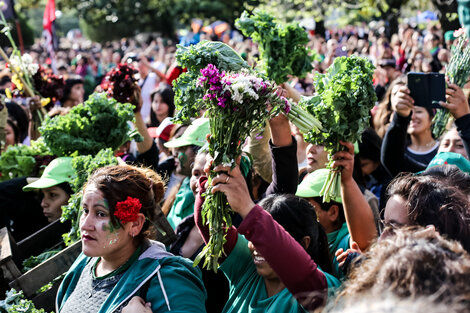 Somos naturaleza