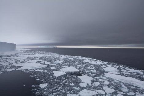 El mar en la Antártida se calentó cinco veces más que en el resto del mundo