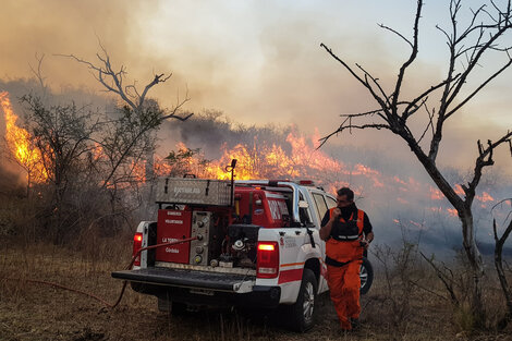 Diputados avanza con ley que busca frenar los incendios