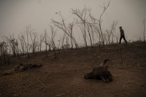 En Brasil suspenden el combate a los incendios por falta de recursos