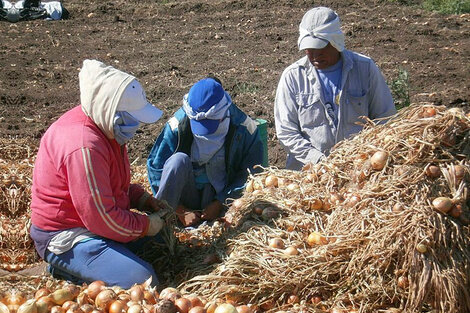 Procrear Rural, la propuesta de la Ley de Acceso a la Tierra que impulsa la Unión de Trabajadores de la Tierra