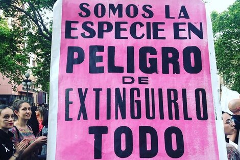 Veganismo: la nueva resistencia política millennial 