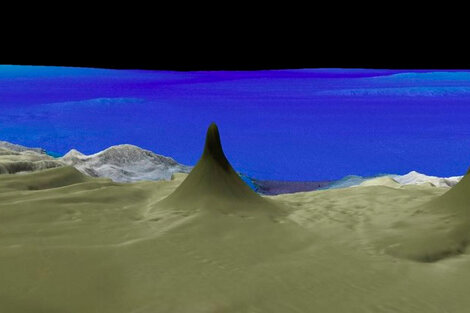 Después de 120 años, descubrieron un arrecife de coral de 500 metros de altura