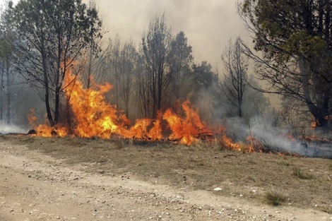 Incendios forestales en cuatro provincias