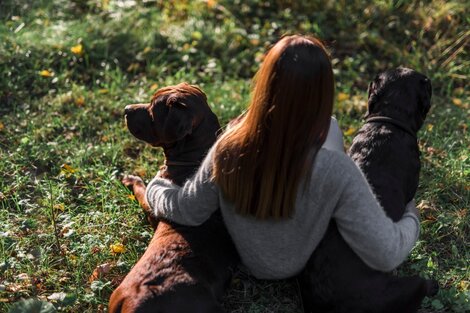 El misterio de la relación entre perros y humanos