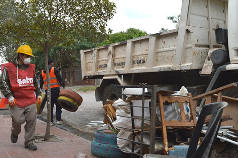 Dengue: ocho ciudades de Salta son de alto riesgo de infestación