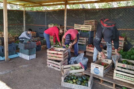 Cómo es el programa del Gobierno para que los desocupados produzcan alimentos 