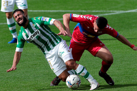 Liga de España: ganó Betis y frenó la racha del Elche de Almirón