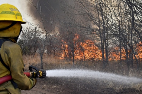 Incendios forestales: focos activos en cuatro provincias