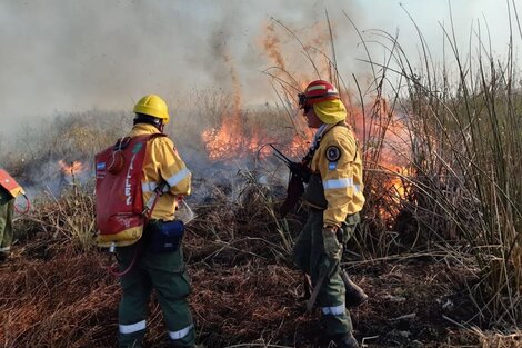 En Córdoba y Jujuy, miles de hectáreas consumidas por el fuego