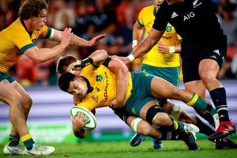 Australia derrotó a los All Blacks y Los Pumas tienen su gran chance