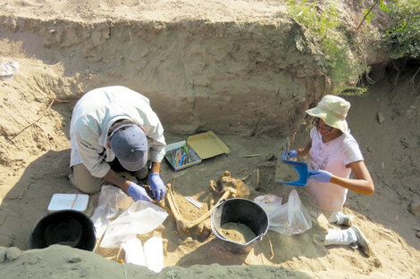 Acuerdo clave entre la UNCUYO y el Equipo de Antropología Forense