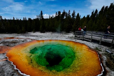 Un grupo de personas intentó cocinar pollos en un géiser del parque Yellowstone