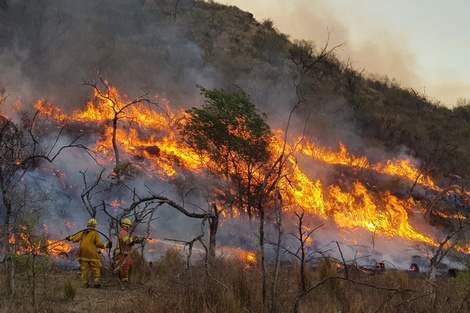 Incendios forestales: pronostican más focos para el verano