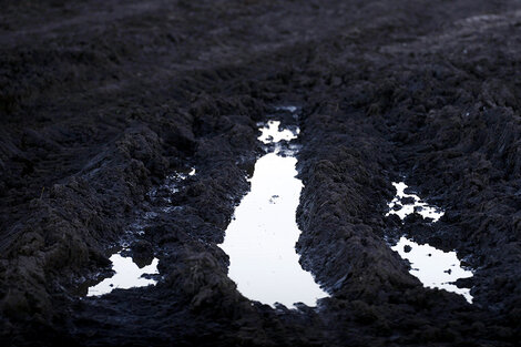 false (Fuente: Andres Macera)