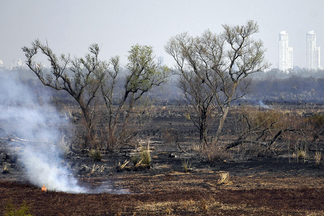 Las quemas son en lugares que están en pleno rebrote de pasturas (Fuente: Sebastián Granata)