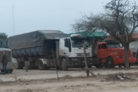 Granos secuestrados serán para animales de pequeños productores salteños