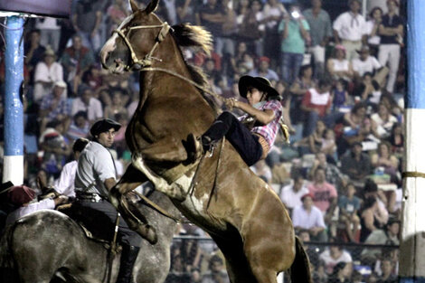 Suspenden la edición 2021 del Festival de Doma y Folklore de Jesús María  