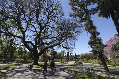 Clima en Buenos Aires: el pronóstico del tiempo para este viernes 20 de noviembre