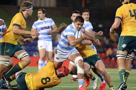 Los Pumas empataron 15 a 15 con Australia