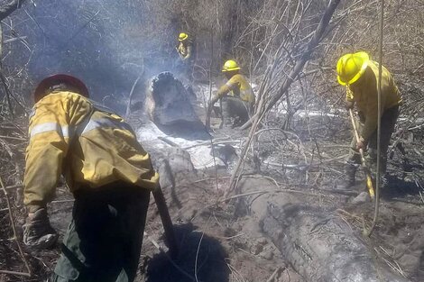 Incendios en Jujuy: sigue la lucha de los brigadistas para extinguir el fuego