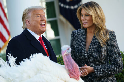 Donald Trump con su esposa Melania y el pavo perdonado por el Día de Gracias